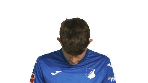 Look Up Tsg Hoffenheim Sticker by Bundesliga