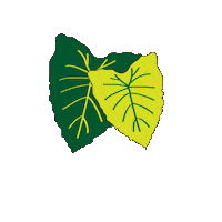 Native Plants Hug Sticker by Partners in Development Foundation