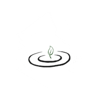 Purity Traceability Sticker by Nutrilite Global