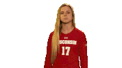 Wisconsin Volleyball What Sticker by Wisconsin Badgers