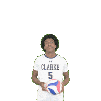 Clarke Pride Sticker by Clarke University