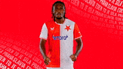Football Celebrate GIF by SK Slavia Praha