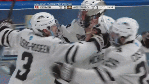 Ice Hockey Win GIF by TheDreamTeam 