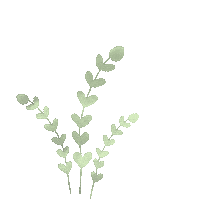 Plant Leaves Sticker