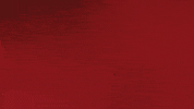 Fc Bayern Smiling GIF by Bundesliga