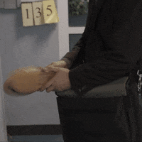 Canalplusonline GIF by CANAL+ Polska