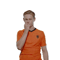 Nederlands Elftal Euro2020 Sticker by OnsOranje