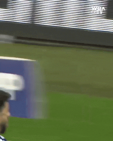 West Brom Wba GIF by West Bromwich Albion