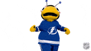 Tampa Bay Lightning Thumbs Up GIF by NHL