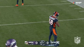 National Football League GIF by NFL