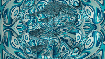 Transform 002