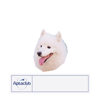 몽몽 Sticker by AptaclubKR