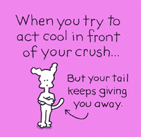 Crushing Girl Crush GIF by Chippy the Dog