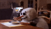Melting Chicken Soup GIF