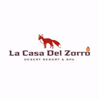 LaCasadelZorro anzaborrego lacasadelzorro casadelzorro borregosprings GIF