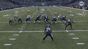nfl seahawks GIF by HuffPost