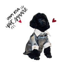 PetSquareBoutique dog pet spa square Sticker