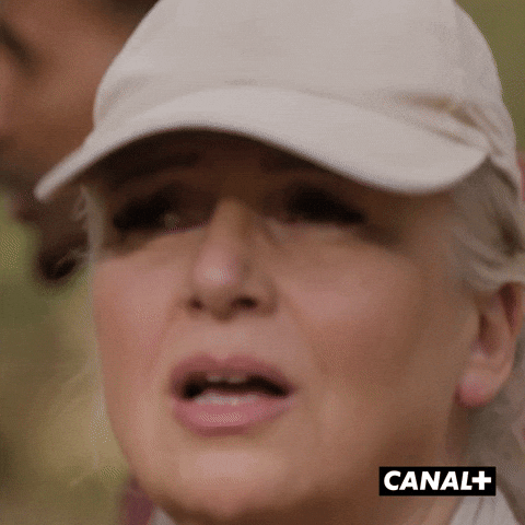 Irl Village GIF by CANAL+