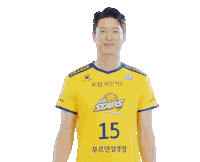 kbstarsvc kb스타즈 kb스타즈배구단 스타즈 스타즈배구단 Sticker