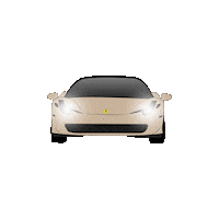 Auto Racing Sticker Sticker