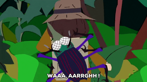 nightmare bugs GIF by South Park 