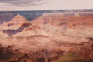 arizona GIF
