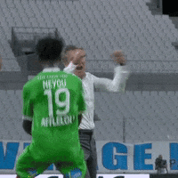 Football Rage GIF by AS Saint-Étienne