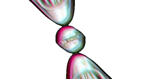 Phone Wow Sticker by De Cicco Store