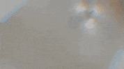 No GIF by Mr Urbina