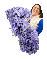 intrigueteaches flower flowers purple floral Sticker