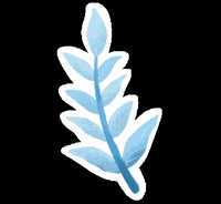 paninti oonew paninti GIF