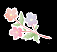 paninti oonew paninti GIF