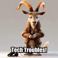 GIF by Radiantelope