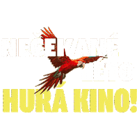 Barbora Poláková Nečekané Léto Sticker by falconfilmovenovinky