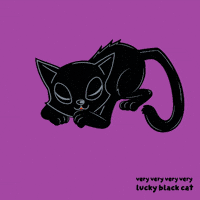 Black Cat GIF by VeeFriends
