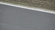 formula 1 f1 GIF by Mercedes-AMG Petronas Motorsport