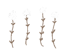 Flower 花 Sticker