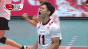 Japan Celebrate GIF by Volleyball World