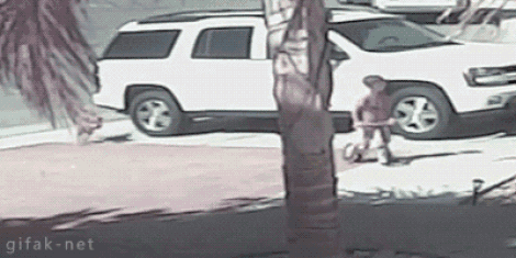 GIF by Demic