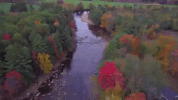 new hampshire GIF