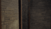 Youtube Comedy GIF