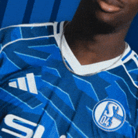 Football Soccer GIF by FC Schalke 04