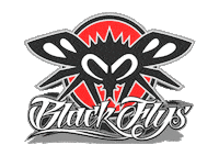 Fly4Life Sticker by Black Flys