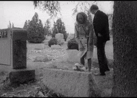night of the living dead horror GIF