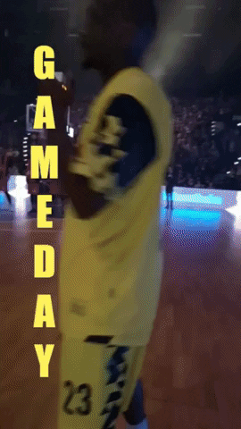 EWE_Baskets basketball bbl oldenburg ewe baskets GIF