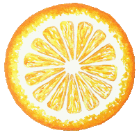 alpinetones orange fruit citrus oranges Sticker