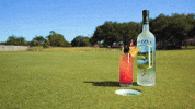 FuzzysVodka golf drunk drinking smash GIF
