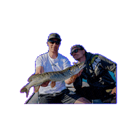Fish Fishing Sticker by BISS.90