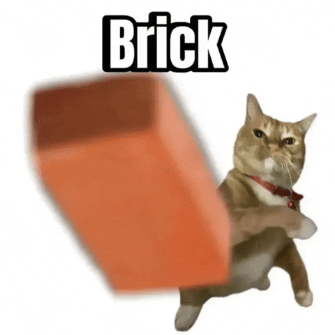 Brick By Brick Cat GIF