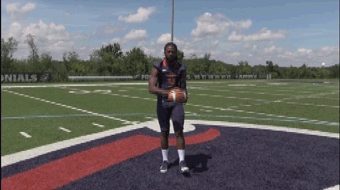 rmuathletics rmu robert morris robert morris university GIF